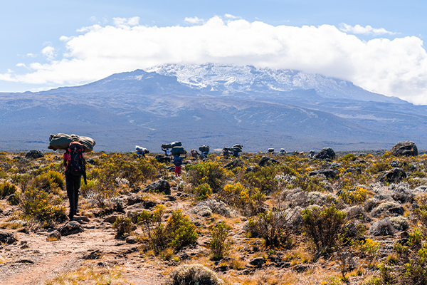 Trekkers ascending Kilimanjaro
