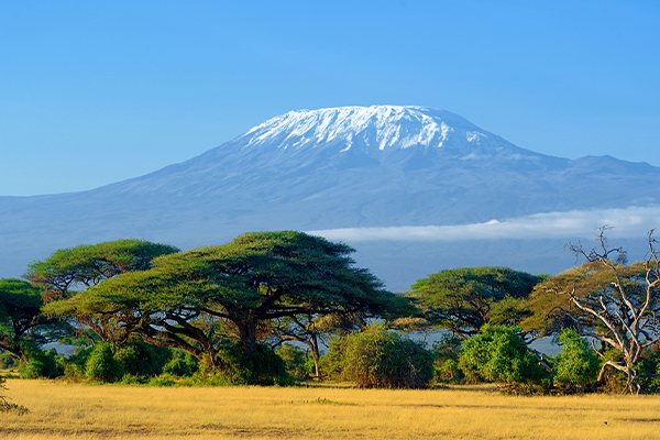 Kilimanjaro Uhuru Peak summit