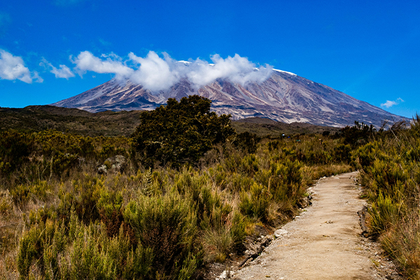 Kilimanjaro Lemosho route climb