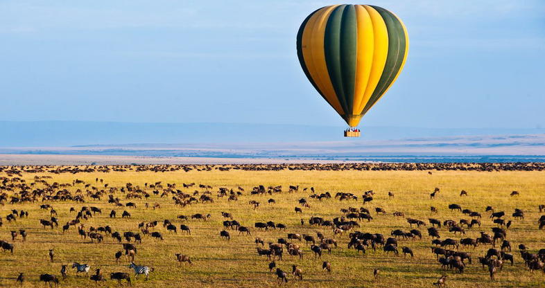 Balloon safari