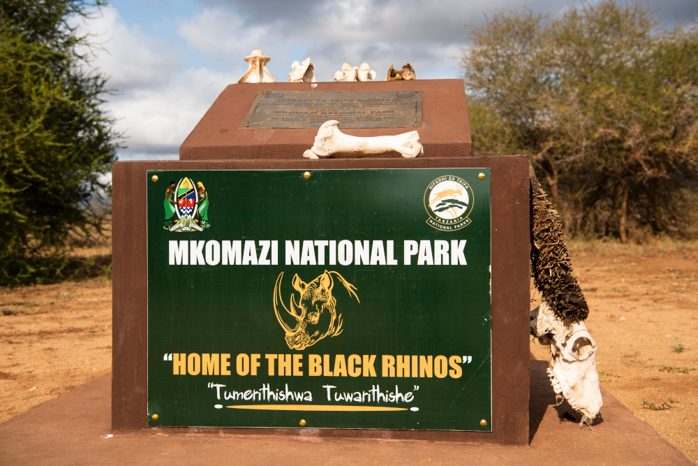 Mkomazi wildlife