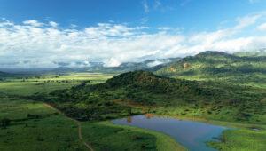 Mkomazi view