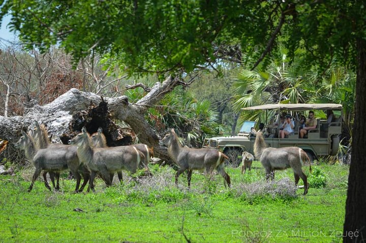 Mikumi floodplain