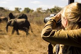Safari photography experience in Tanzania
