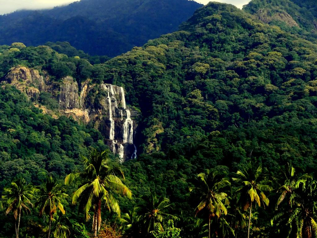 Udzungwa waterfall
