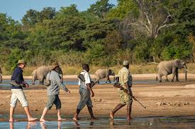 Adventure seeker safari walking experience in Tanzania