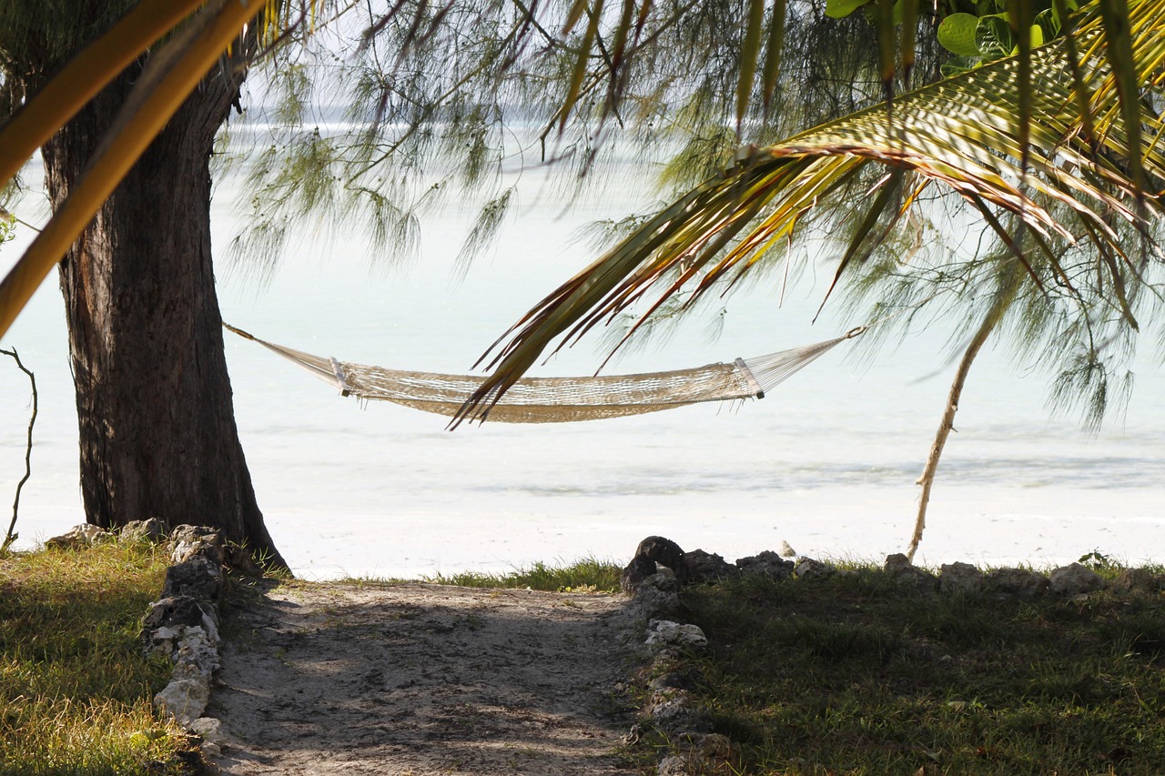 Zanzibar turquoise beach paradise