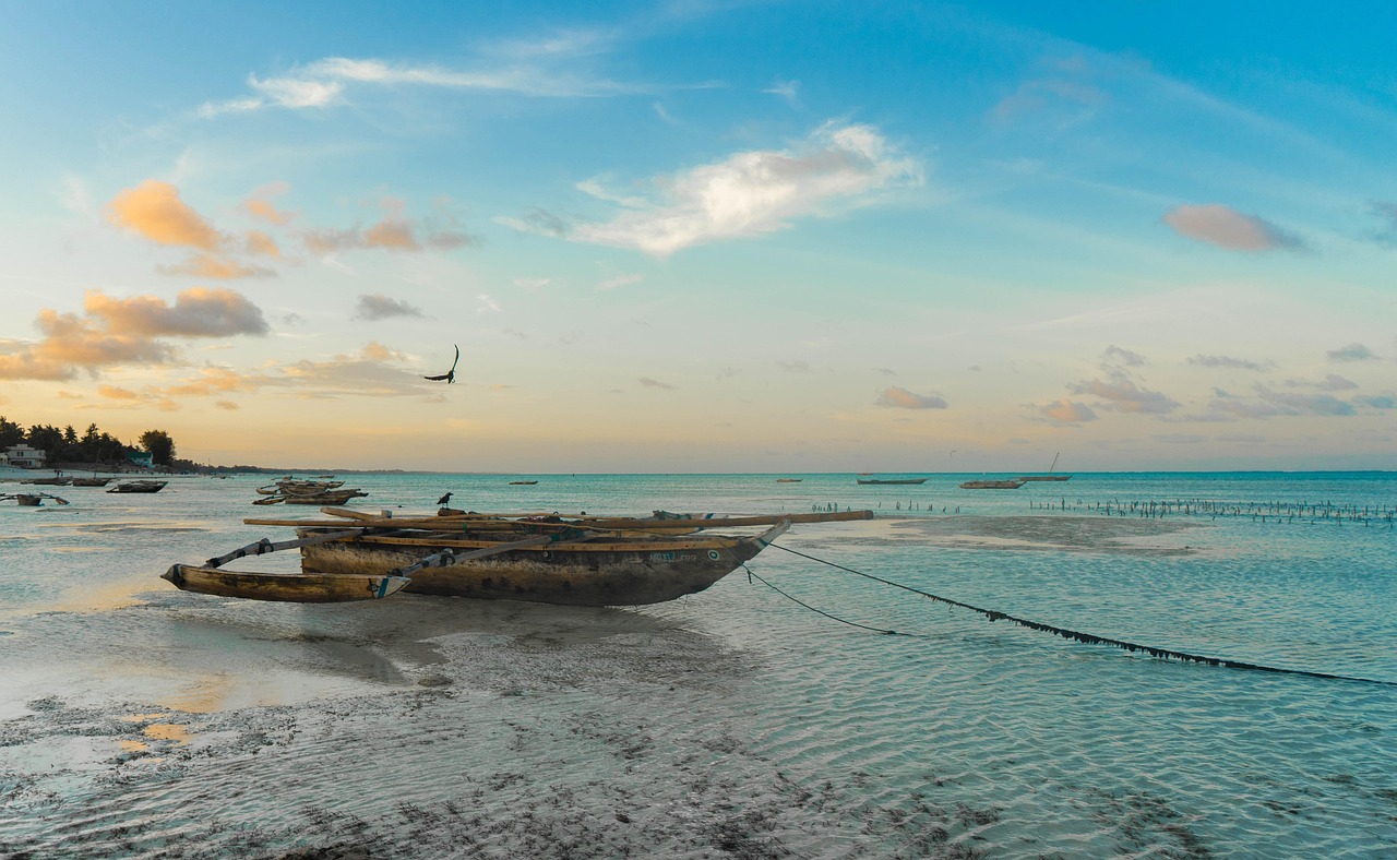 Pristine Zanzibar beach at sunset