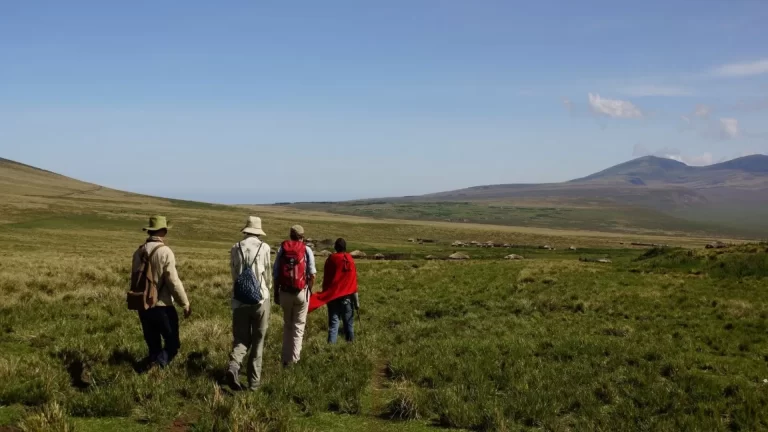 Ngorongoro Highland