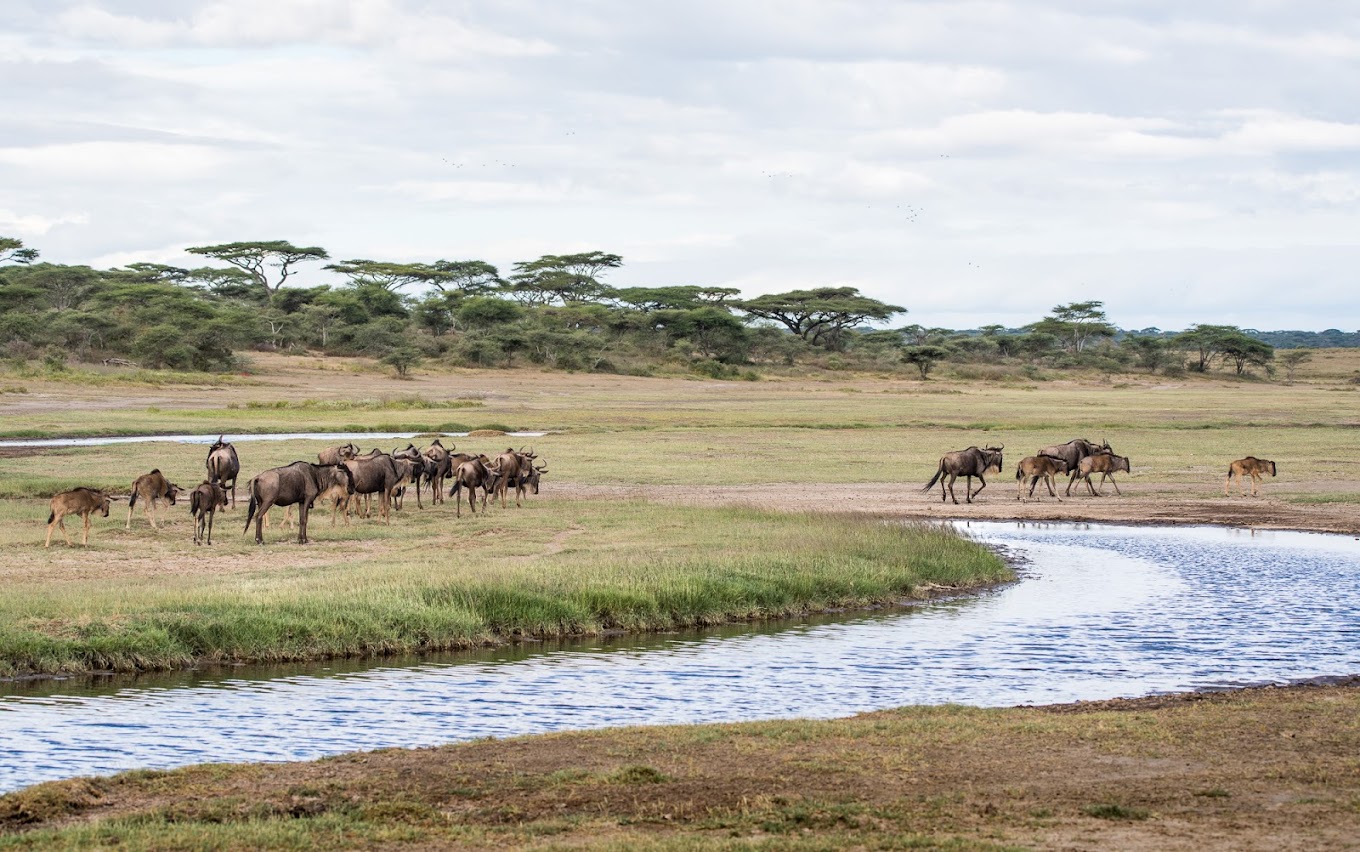 Lake Ndutu Luxury Lodge4