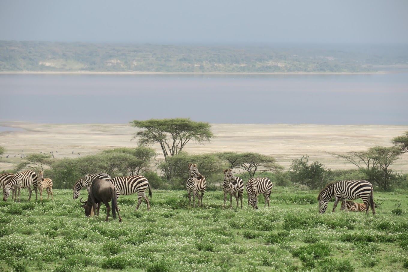 Lake Ndutu Luxury