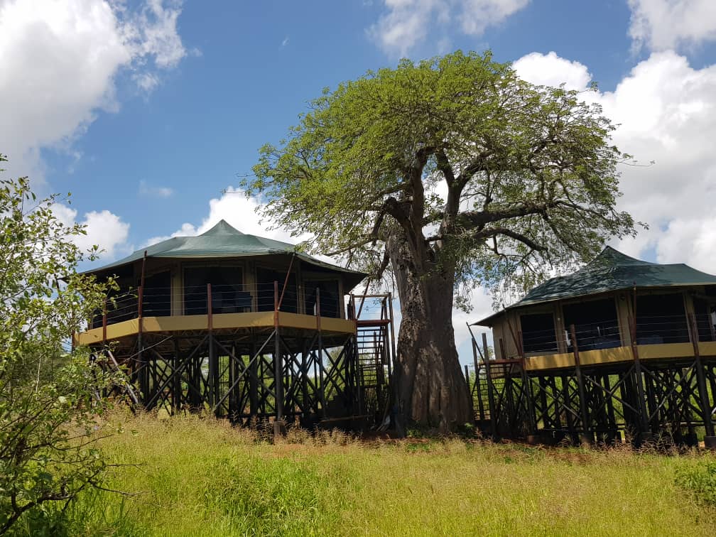 Tarangire Kuro Treetops Lodge