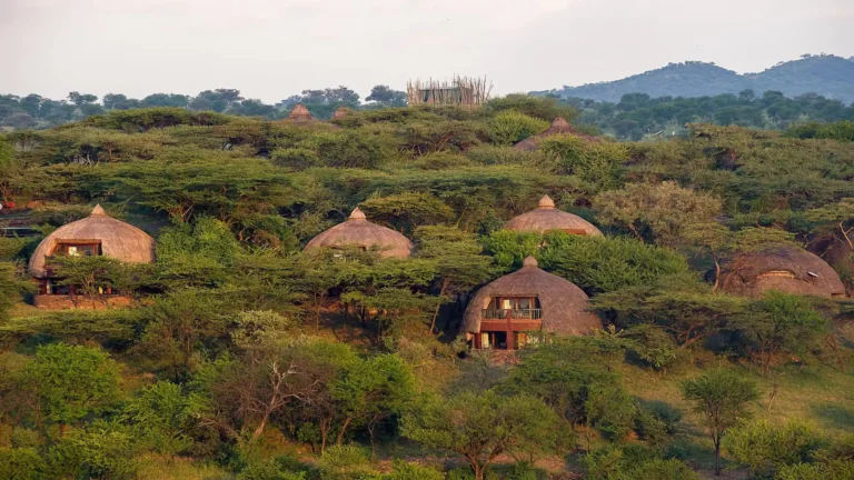 serengeti-serena-safari-lodge2